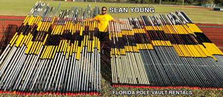 deadly vaulting poles deadly vaulting poles